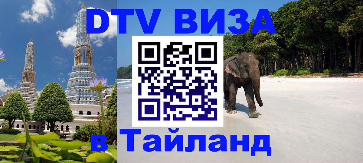 Оформление DTV визы под ключ: стоимость и тарифы, только загранпаспорт - 